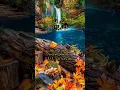 Download Lagu Surah al A'la by Salim Bahanan || 1-9 #salim_bahanan #shorts ##viral #deen #islam #quran #quran