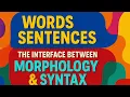 Words Sentences The Interface Between Morphology Syntax