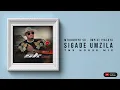 Download Lagu Mthandeni Sk - Sigade Umzila ( TNS Full Cut Remix)