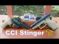 Is Rimfire Good Enough for Self 22 LR Stinger VS 22 WMR Max-Mag TNT