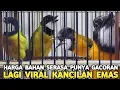 Download Lagu PALING DIMINATI PALING GAMPANG BUNYI HARGA BAHAN SERASA PUNYA GACORAN CUKUP 220 RIBUAN DI PB PRAMUKA