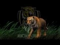 Lagu Richmond Tigers theme song with 3D Tiger