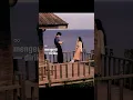Download Lagu jadi tuan putri - asila maisa(Lirik)🎶#lyricmusic#liriklagu#shortvideo#lirik#asilamaisa#jadituanputri