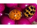 Everybody Poops - 10 Second GIF
