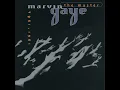 Trouble Man (1995 Version)