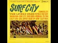 Soul Surfer - The Lively Ones
