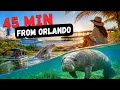 The Closest Beach Escape From Orlando