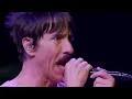 Red Hot Chili Peppers - Eddie & Under the Bridge (live at Pinkpop 2023)