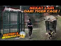 Download Lagu BERANI BANGET ! ALSHAD LARI DARI TIGER CAGE ! ESHAN JINORA MALAH BEGINI REAKSINYA !!