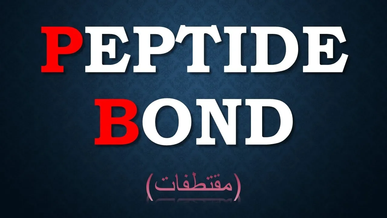 Peptide Bond