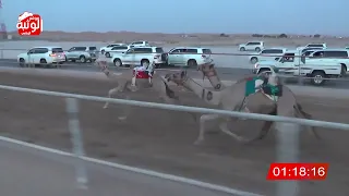 الشوط 1 مهمه لـ محمد حمد راعي قحير الدرعي 3 13 4 شارة الصندوق 2024 9 1 فطامين رقيعات 