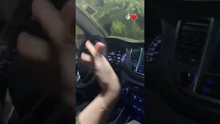 ربيت الكبدة عليه Story 