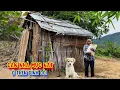 Download Lagu The Rotten House on the Mountain Top, Where the Poor EARN RICE - Episode 1541