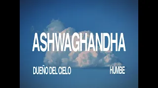 HUMBE - ASHWAGANDHA (Lyric Video)
