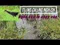 Download Lagu Tiếng Chằng Nghịch Mới Nhất