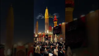 أمير الحب علي 