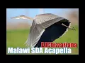 MALAWI SDA CAPELLA MUSIC - DJChizzariana