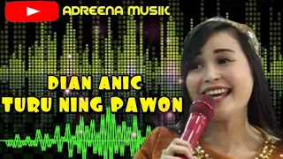 Download DIAN ANIC - TURU NING PAWON II ANICA NADA MP3