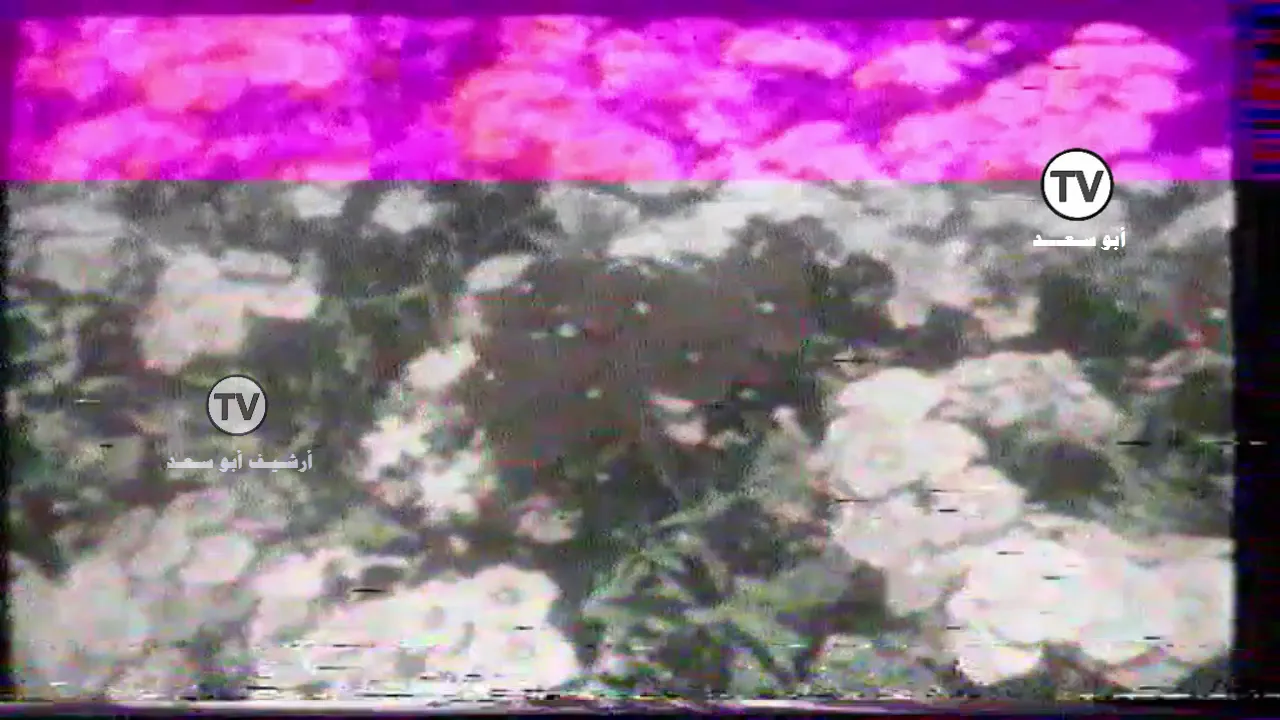 فاصل موسيقي ثم متابعة المباراة | القناة الأولى ١٤٠١هـ ➖ ١٩٨١م