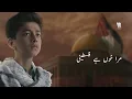 Ana Dammi Falasteeni In Urdu | My Blood Is Palestinian | انا دمي فلسطيني | Muntazir Hasan Nagri