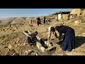 Download Lagu Nomadic life: Building a watering hole for sheep by Nader and his family in the Zagros Mountains🐑🌊