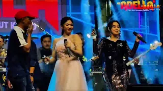 di telan alam nurma kdi feat lusyana jelita adella live bulak rukem surabaya