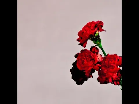 Download MP3 John Legend - Made to Love