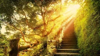 ترنيمة إنتظري الرب يا نفسي 