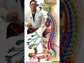 Are you facing challenges with bladder control or erectile dysfunction