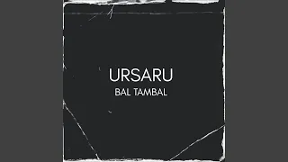 Ursaru - Bal țambal