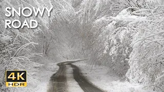 4K HDR Snowy Road in the Forest – Heavy Snowfall & Winter Ambiance – Quiet Woodland Scenery