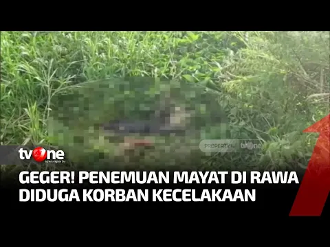 Mencium Bau Tidak Sedap, Warga Lampung Digegerkan oleh Penemuan Mayat di Rawa