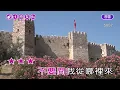 02~橄欖樹~齊豫~女原Bm調~伴奏~導唱3顆~無live鼓(丙)