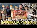 Download Lagu PASAR BURUNG ! SEGALA JENIS ANAK BURUNG HARGA CUKUP MURAH DI PASAR BURUNG PRAMUKA HARI INI 