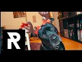 Download Lagu REDFIELD ALL-STARS - Santa Claus Is Coming To Town (Official Video) XMAS / Christmas Metalcore Cover