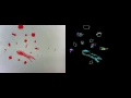 OpenCV Arrow Detection