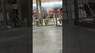                        دندنها