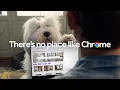Look no further Meet Gemini in Chrome