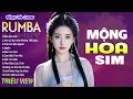 Download Lagu MỘNG HOA SIM , CÓ DUYÊN KHÔNG NỢ - LK Nhạc Trẻ Rumba 8x 9x Hót TikTok - ALBUM RUMBA XUẤT SẮC NHẤT