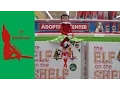 Eevee s Elf Adventures Elf on the Shelf ADOPTION CENTER Get Your Elf on the Shelf Now
