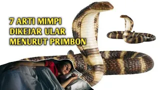 Download 7 ARTI MIMPI DIKEJAR ULAR (Menurut Tafsir Primbon) MP3