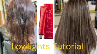 Ash Brown Lowlights Bushra beauty Salon