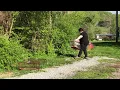 Trap-neuter-return The solution to feral cat overpopulation