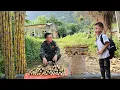 Download Lagu Harvesting sugarcane garden and bring it to the market to sell