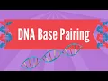 DNA Base Pairing
