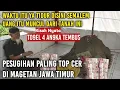 Download Lagu Ngeri !! Kisah Nyata Cukup bermalam disini pulang langsung Kaya Raya