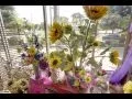 Sequoia Plaza Flowers Visalia CA Florist
