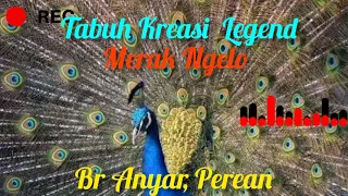 Download Tabuh Kreasi Merak Ngelo MP3