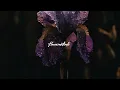 TSHA - Giving Up (feat. Mafro) (Extended Version)