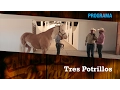 THREE POTATO RANCH